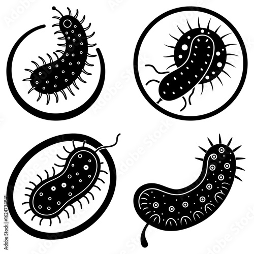 Four stylized black and white bacteria icons with varying shapes and circular or oval borders shown
