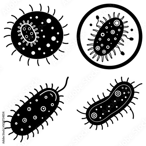 Illustration of four different types of bacteria with various shapes and structures in black and white style