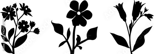 "Minimalist Wildflower Trio"