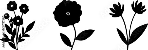 "Minimalist Wildflower Trio"