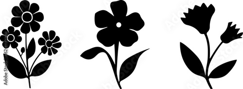 "Minimalist Wildflower Trio"