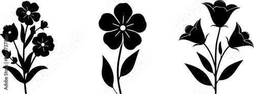 "Minimalist Wildflower Trio"