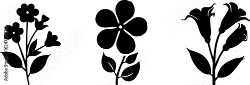 "Minimalist Wildflower Trio"