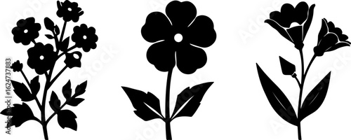 "Minimalist Wildflower Trio"
