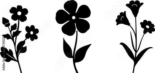 "Minimalist Wildflower Trio"