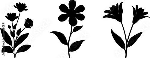 "Minimalist Wildflower Trio"
