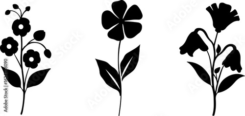 "Minimalist Wildflower Trio"