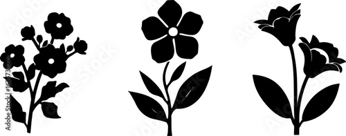 "Minimalist Wildflower Trio"
