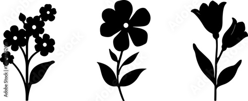 "Minimalist Wildflower Trio"