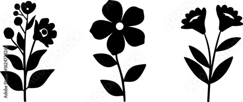 "Minimalist Wildflower Trio"