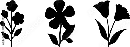 "Minimalist Wildflower Trio"