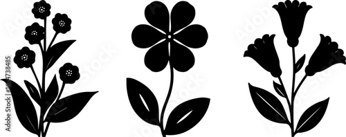 "Minimalist Wildflower Trio"