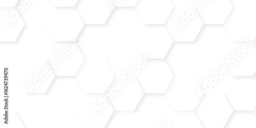 abstract vector minimal with 3d white hexagon background and Embossed Hexagon , honeycomb white mosaic cell web ,light and shadow texture design.