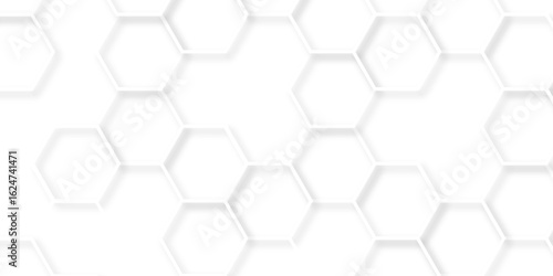 abstract vector minimal with 3d white hexagon background and Embossed Hexagon , honeycomb white mosaic cell web ,light and shadow texture design.