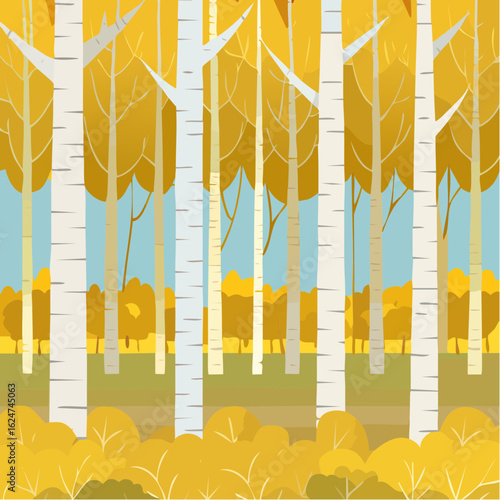 birch forest in autumn inside the planting of yellowed trees