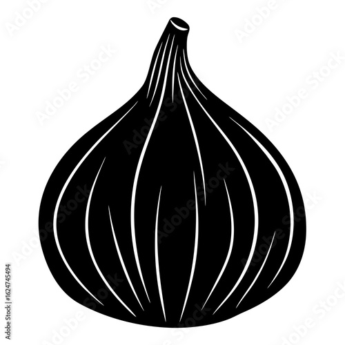 onion isolated on white