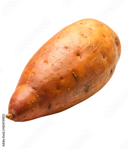 Photo of single raw sweet potato isolated on transparent background