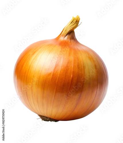 Wallpaper Mural Photo of a whole yellow onion with brown skin isolated on transparent background, a common ingredient in cooking Torontodigital.ca