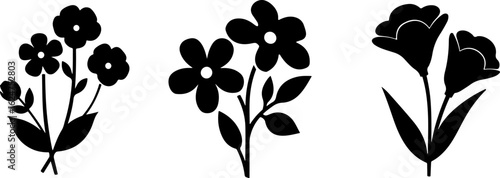 Floral Silhouettes Collection"