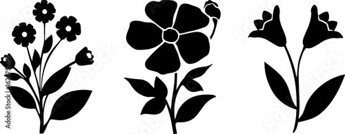 Floral Silhouettes Collection"