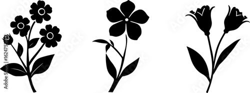 Floral Silhouettes Collection"