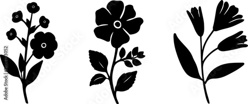 Floral Silhouettes Collection"