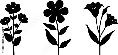 Floral Silhouettes Collection"