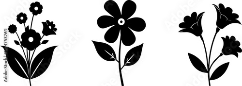 Floral Silhouettes Collection"