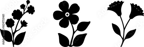 Floral Silhouettes Collection"