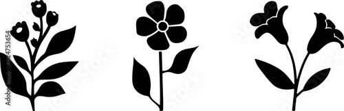 Floral Silhouettes Collection"