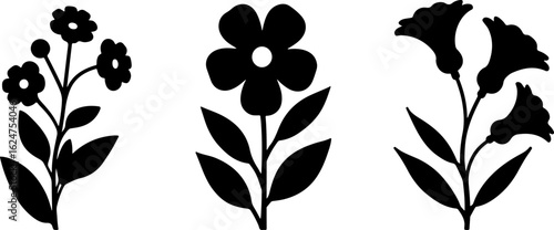 Floral Silhouettes Collection"