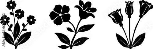 Floral Silhouettes Collection"