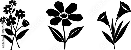 Floral Silhouettes Collection"