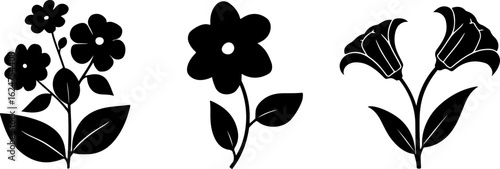 Floral Silhouettes Collection"