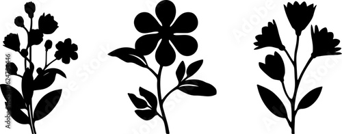 Floral Silhouettes Collection"