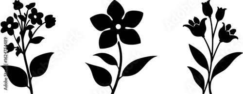 Floral Silhouettes Collection"