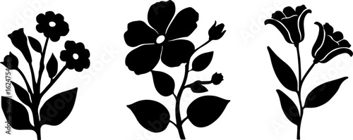 Floral Silhouettes Collection"