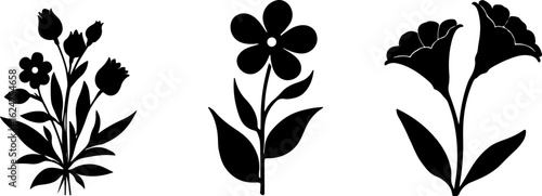 Floral Silhouettes Collection"