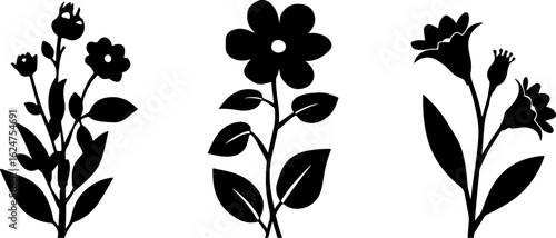 Floral Silhouettes Collection"