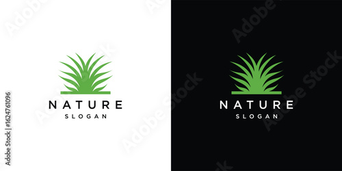 Natural Vector grass logo. Design templates for wild grass, artificial grass, field grass, lawn grass, wild grass.	