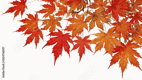 Harmony in Hue Japanese Maple Beautiful leafy tree isolated watercolor vector illustration svg