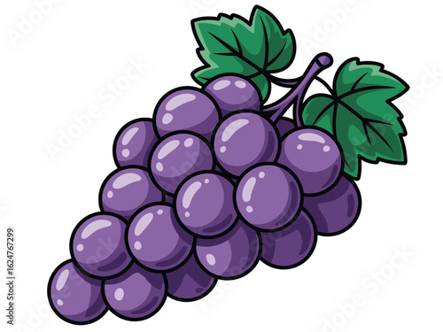 Illustration of a bunch of ripe purple grapes with green leaves