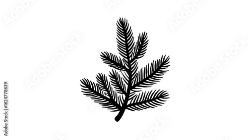 Fir tree branch illustration in black and white

