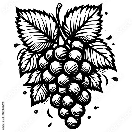 Black and white vector icon of grape cluster, minimal fruit symbol for wine label, organic food packaging, or restaurant menu design