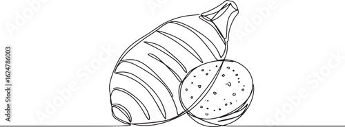 Elegant line art showcasing taro root with distinctive stripes a
