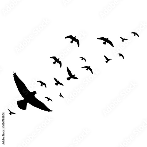 Crows in the Distance – Fading Silhouettes in the Sky