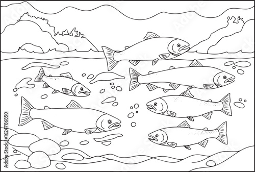 Salmon Run Coloring Page: A River Scene with Swimming Fish Illus