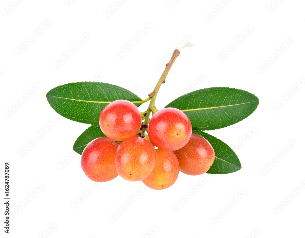 Obraz premium “Fresh Arbutus Berries Cluster with Leaves, isolated on a transparent background”.