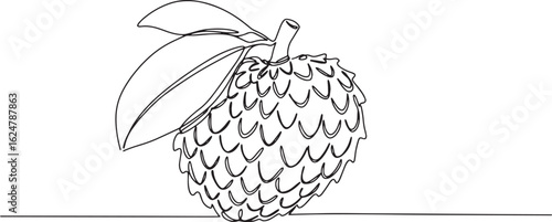 Elegant soursop fruit continuous line drawing capturing simplici