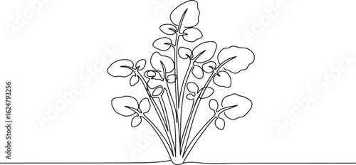 Minimalist watercress illustration in a single continuous line d